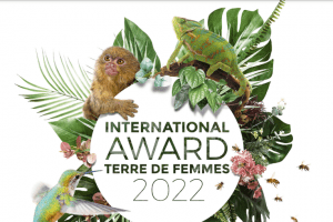 Terre de Femmes International Award - cleanbuild
