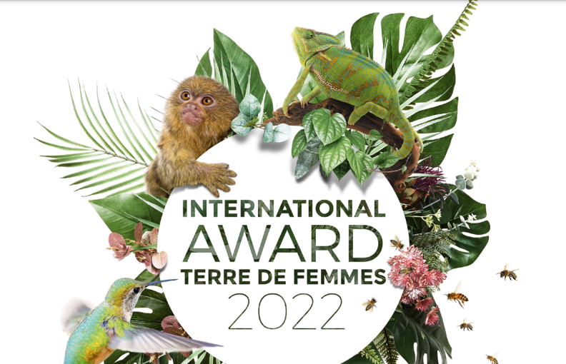 Terre de Femmes International Award - cleanbuild