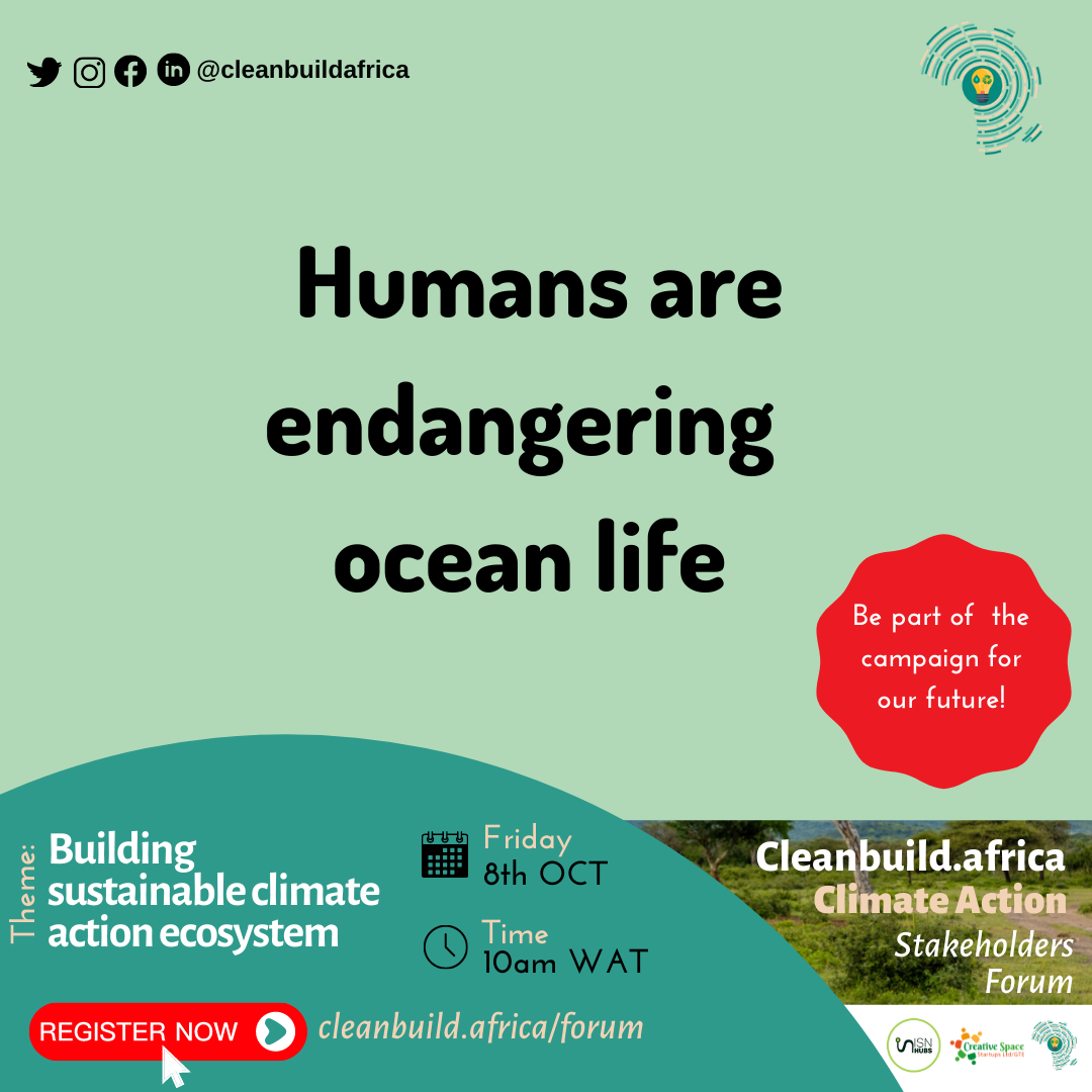 cleanbuild.africa-climate-action-1.png